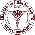 Shaheed Zulfiqar Ali Bhutto Medical University